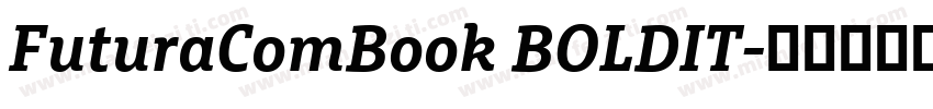 FuturaComBook BOLDIT字体转换